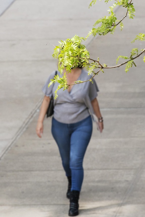 Branch with green leaves in the foreground, person wearing jeans and a gray top walking on a sidewalk in the background.