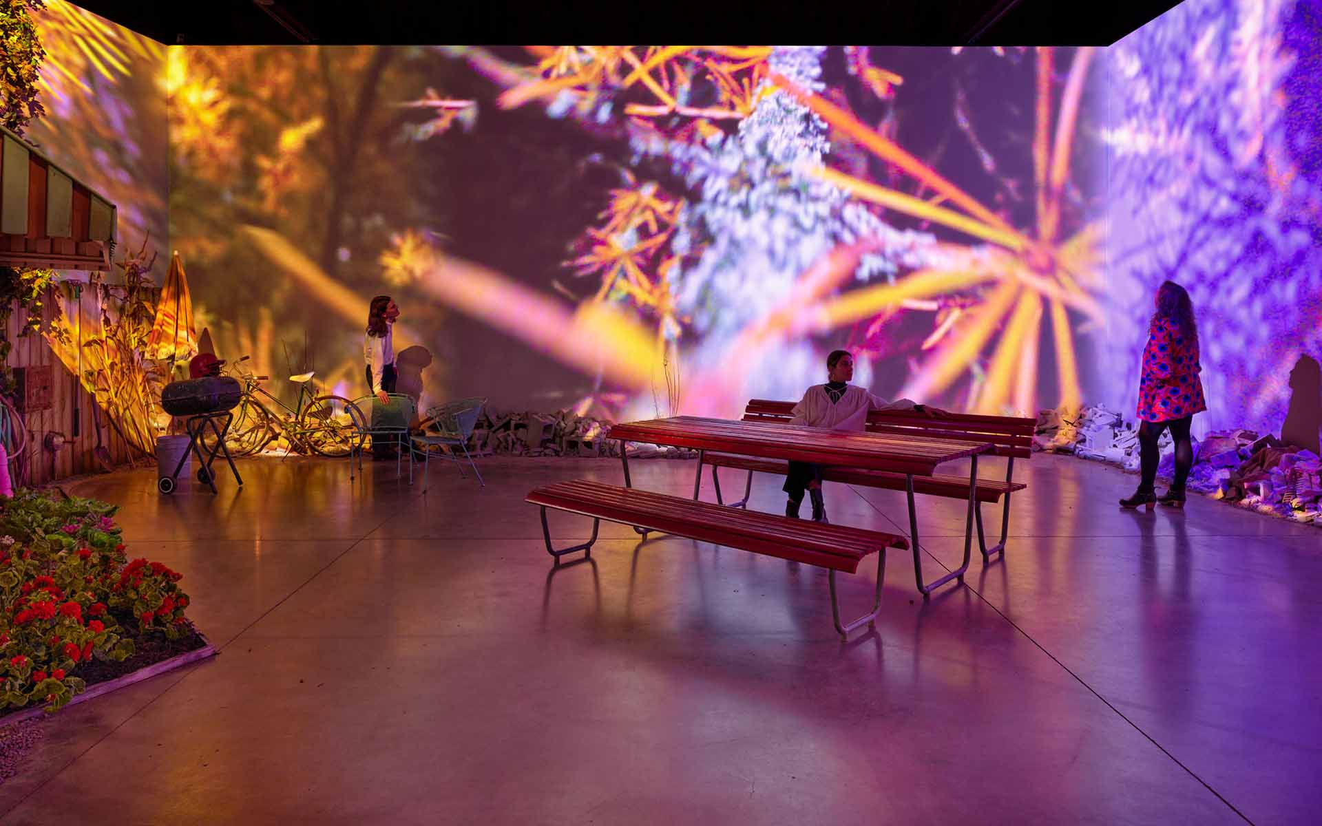 People exploring an art installation with vibrant, abstract nature projections on walls, featuring benches and plants indoors.