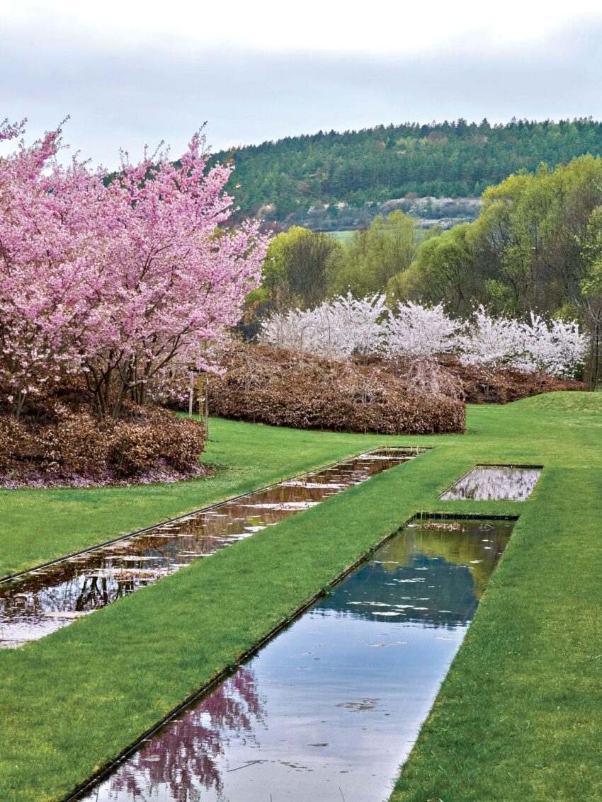 Serene landscape with blooming cherry blossoms, reflecting pools, and lush greenery under a cloudy sky.