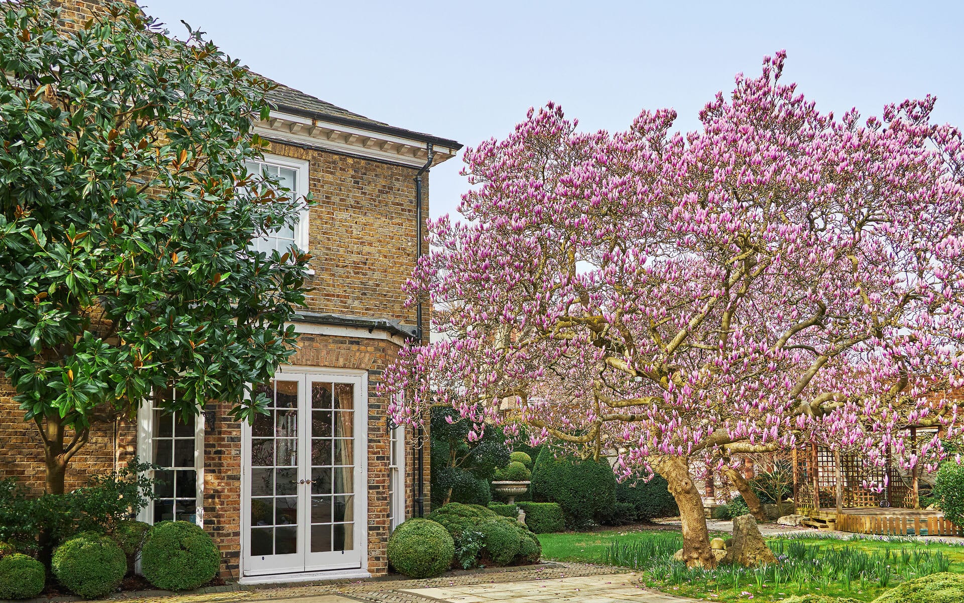 Brick house with white doors beside a blooming magnolia tree and lush green garden.