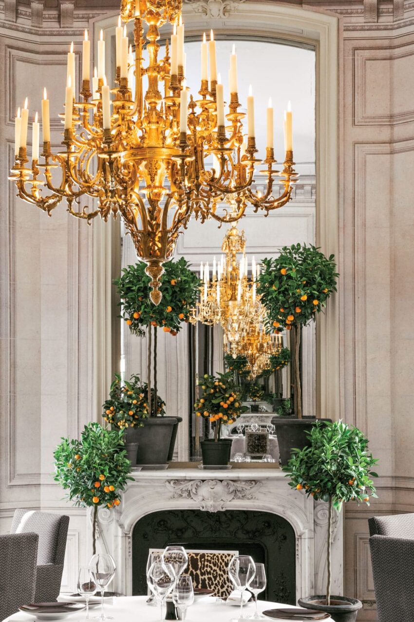 Elegant dining room with ornate chandelier, large mirror, potted orange trees, and a set dining table with wine glasses.