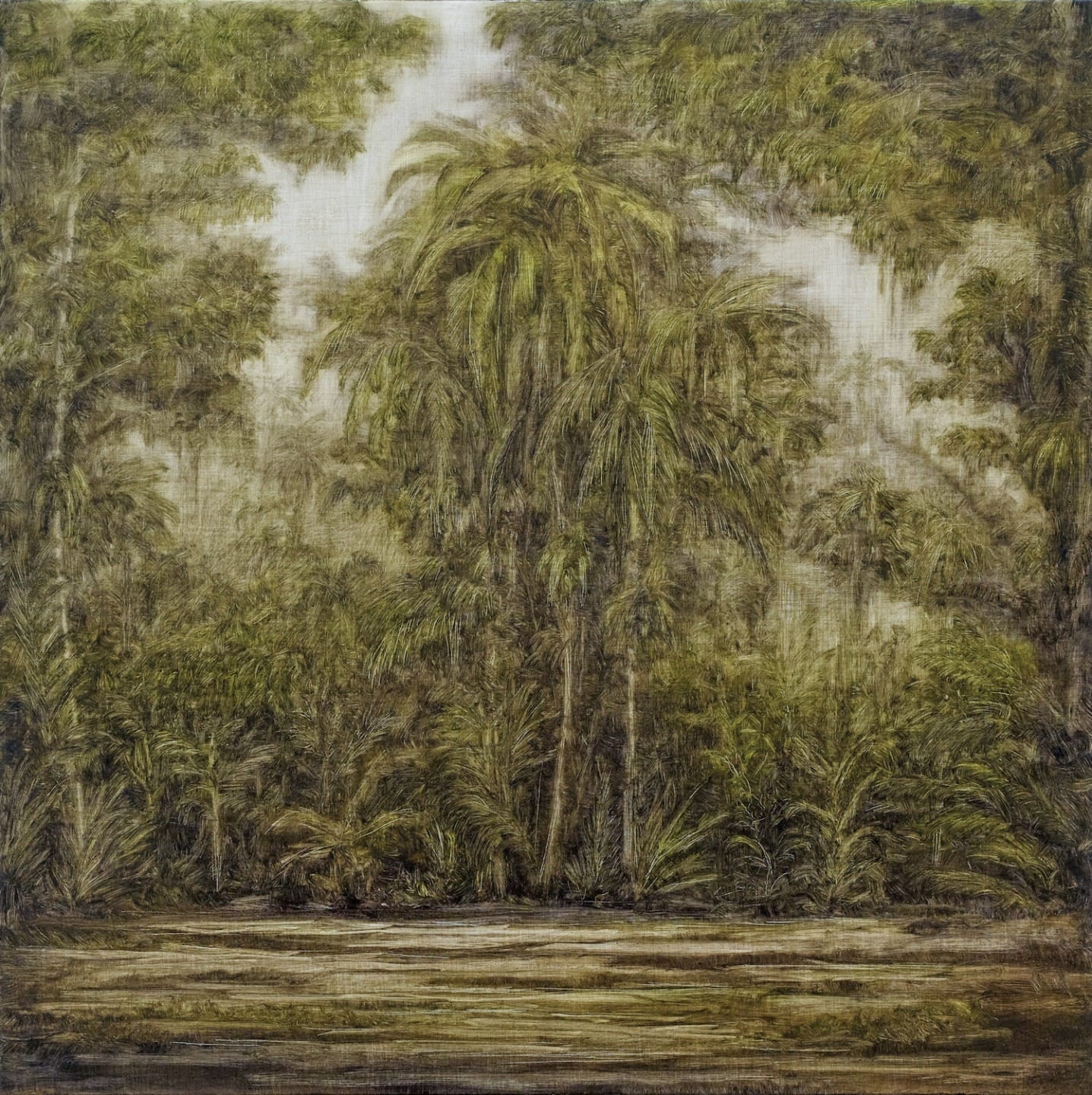 Dense green forest with tall trees and lush foliage surrounding a tranquil water body in a serene natural setting