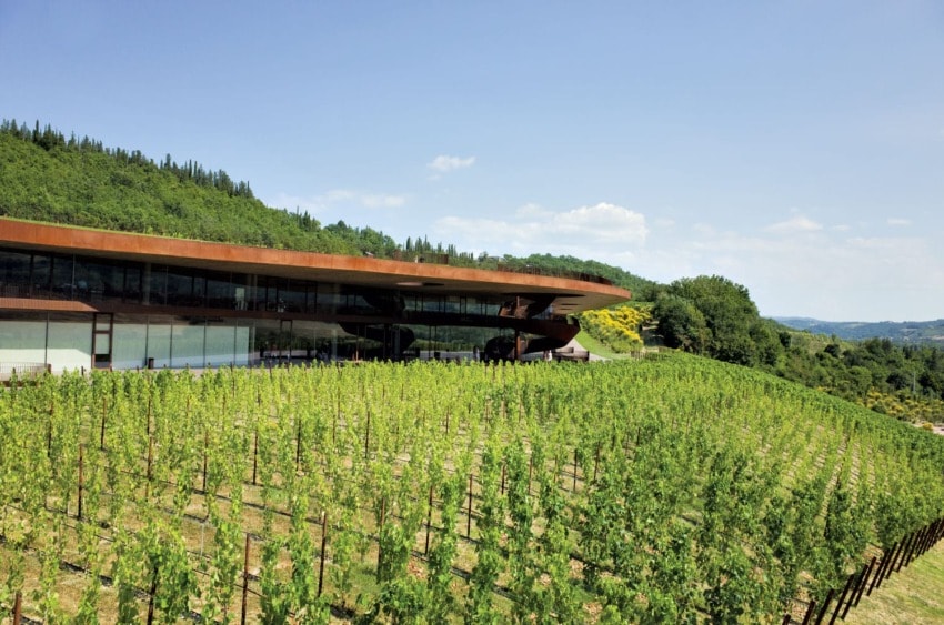 Modern vineyard with a sleek building set against a backdrop of rolling green hills and a clear blue sky.