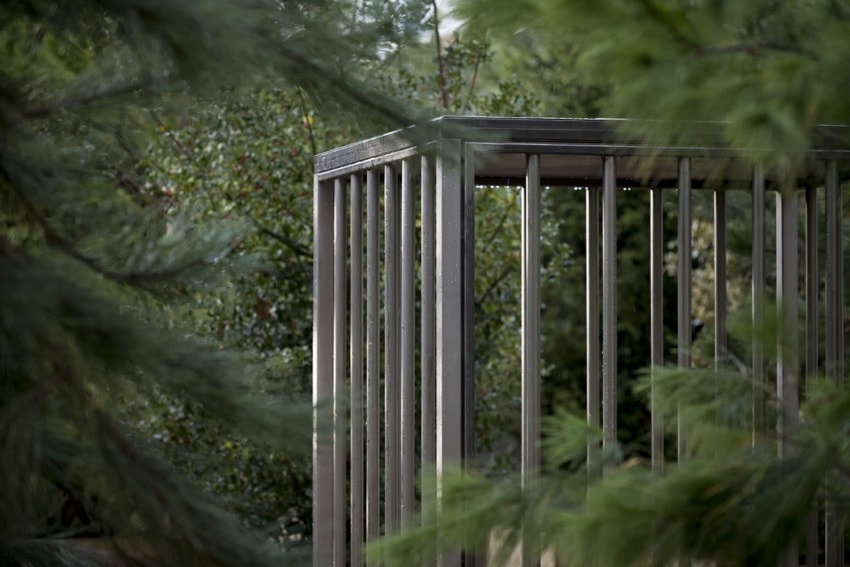 Metal bars surrounded by lush green foliage, providing a serene and natural atmosphere in an outdoor setting.