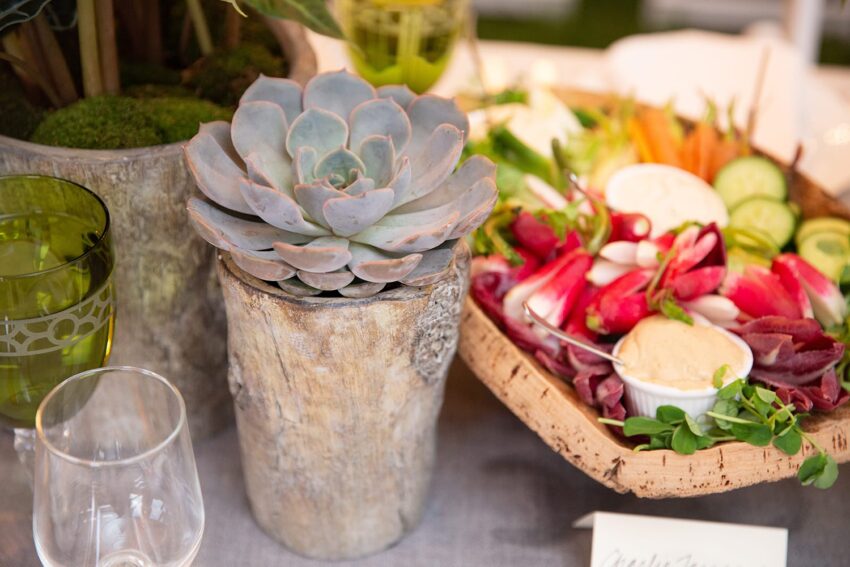 Table setting with a potted succulent, green glassware, and a platter of fresh vegetables and dip.