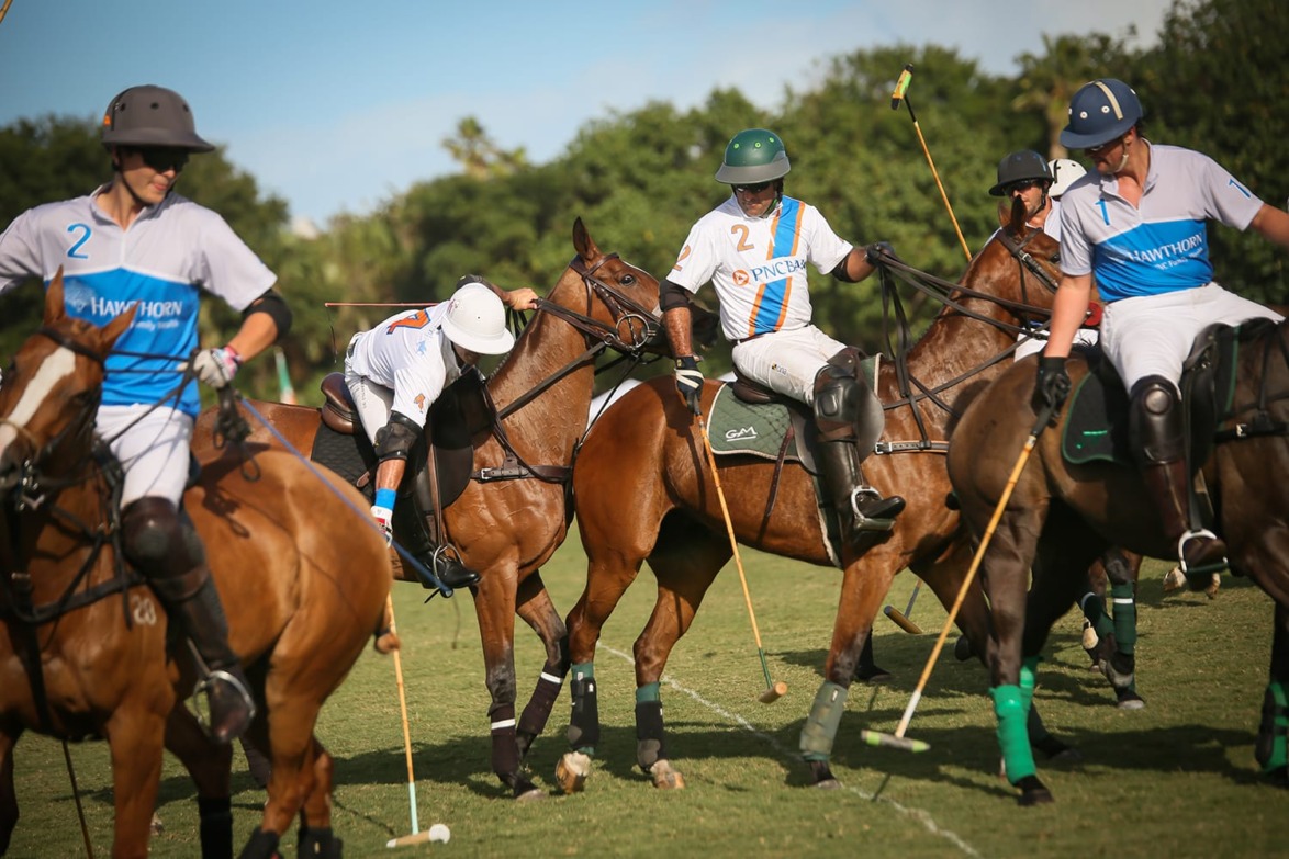 Polo players in action on a field, riding horses and swinging mallets, with a background of trees and clear sky.