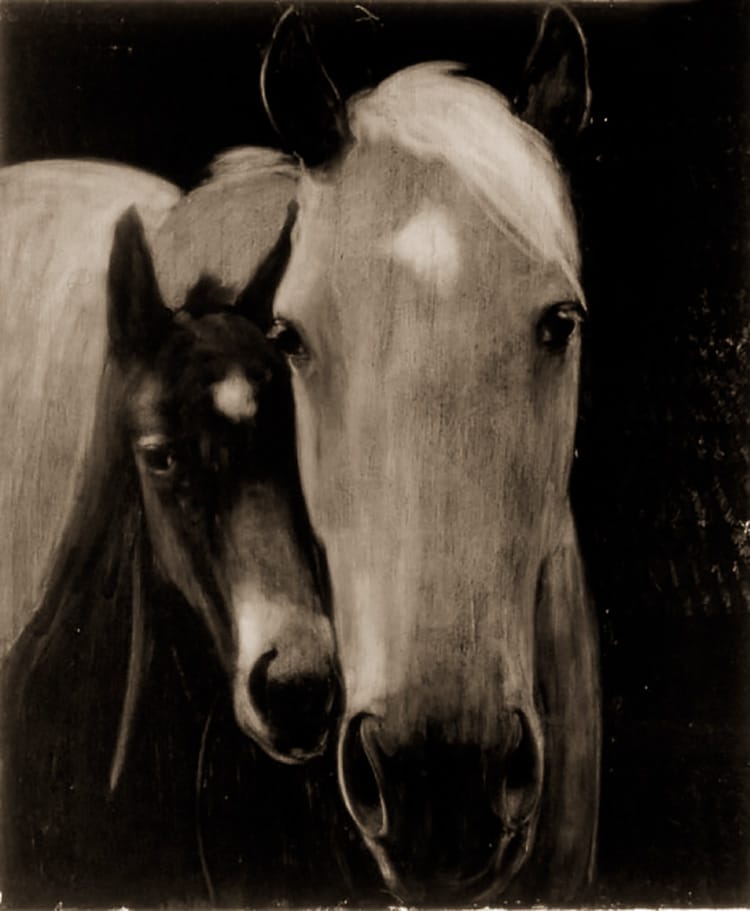 Vintage illustration of two horses, a mare and a foal, standing close together with a dark, shadowy background.
