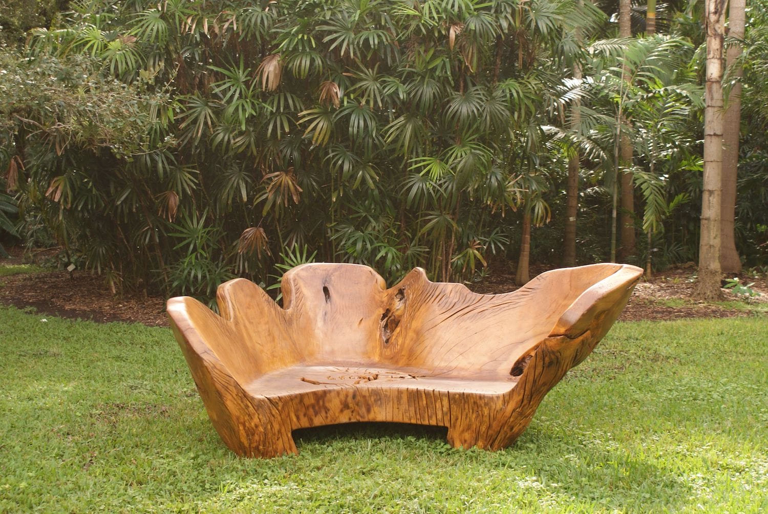 Wooden bench carved from a tree root placed on grassy lawn with lush tropical plants in the background