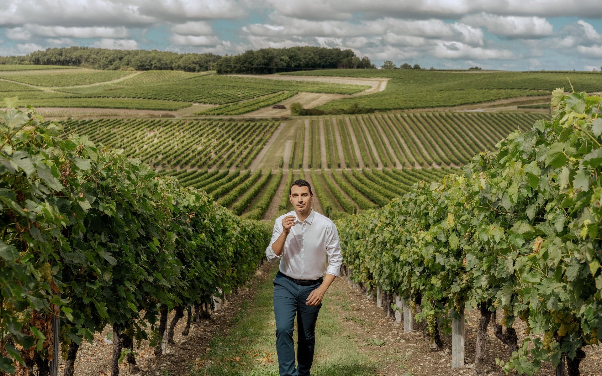 Person walking through a vineyard on a cloudy day with rows of grapevines stretching into the distance.