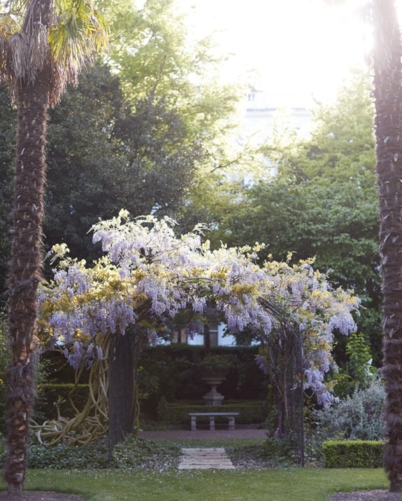Wisteria-covered archway in a sunlit garden with palm trees and a stone bench in the background.