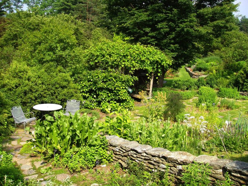 Lush green garden with a stone wall, chairs, and a small table surrounded by vibrant plants and tall trees.