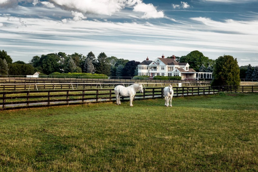 Two white horses stand in a grassy field with a large house and fenced pasture in the background under a partly cloudy sky.
