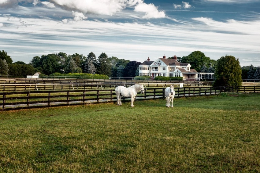 Two white horses stand in a grassy field with a large house and fenced pasture in the background under a partly cloudy sky.