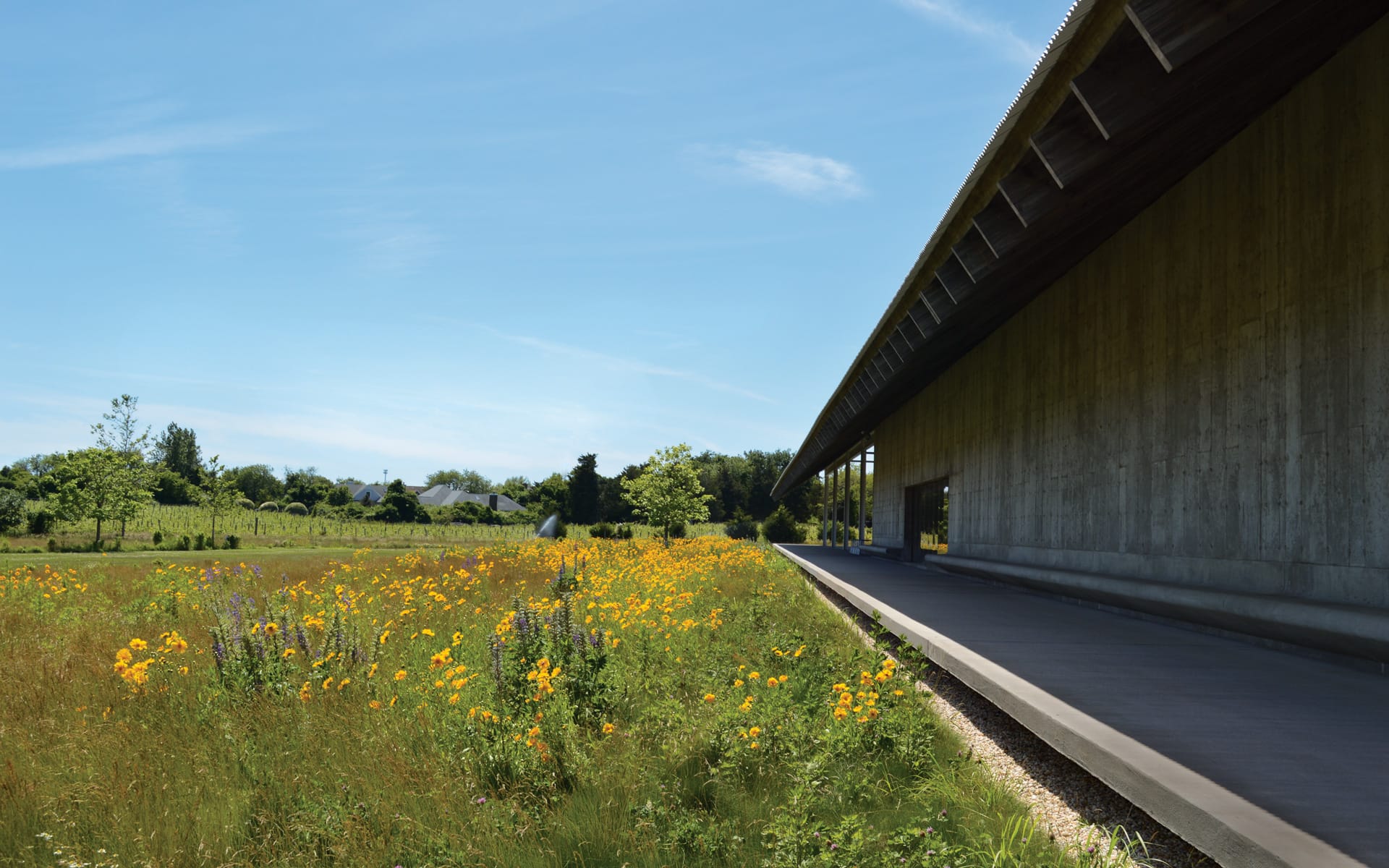 Modern building with long wooden roof overhang beside a field of yellow flowers and green trees under a clear blue sky