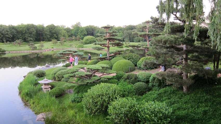 Serene Japanese garden with neatly trimmed shrubs, trees, and a tranquil pond surrounded by lush greenery.