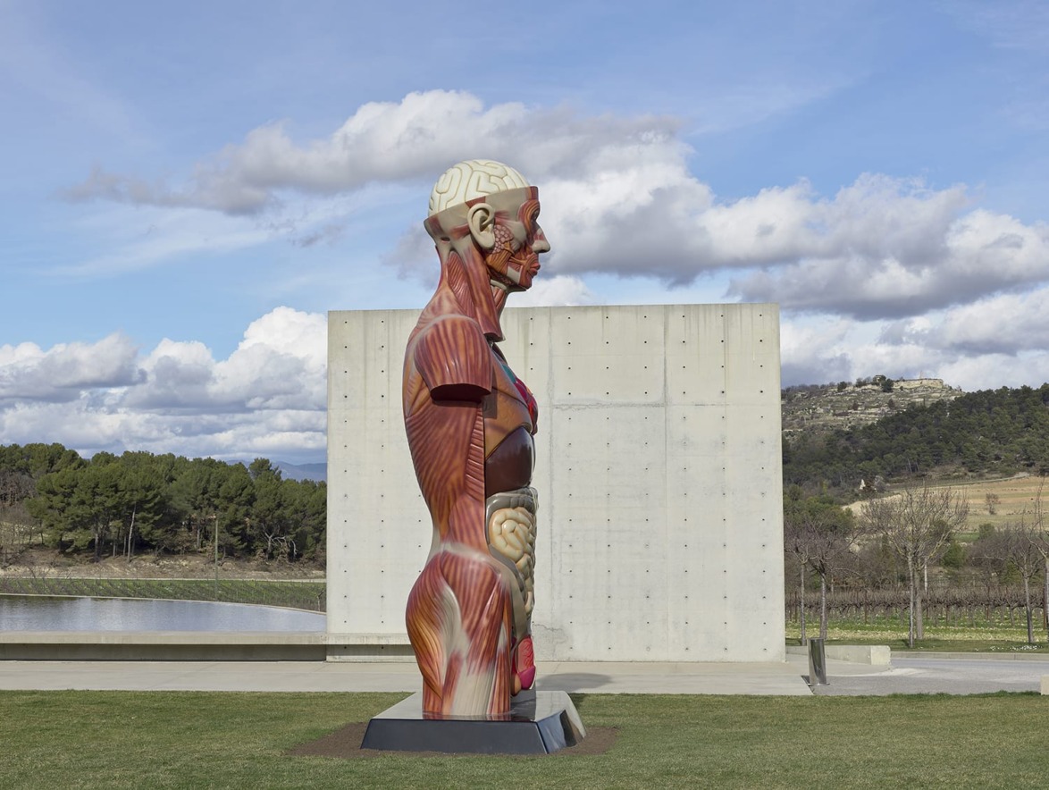Colorful anatomical human sculpture outdoors against a backdrop of trees, grass, and a cloudy sky.