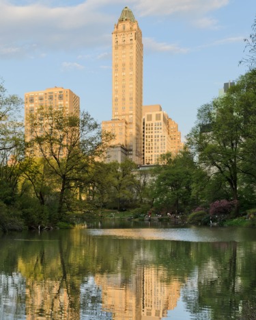 Tall city building overlooks a serene park with lush green trees and a calm lake reflecting the scenery.
