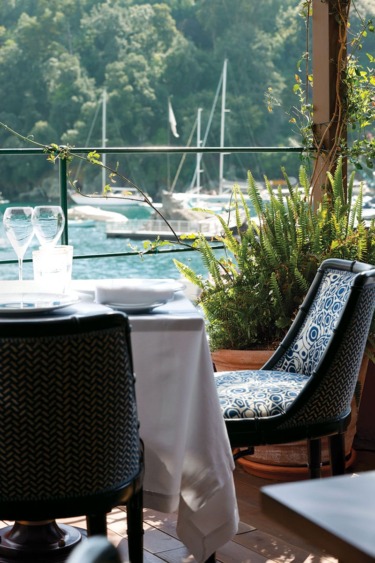 Outdoor restaurant seating with patterned chairs overlooking a marina with sailboats and lush green trees in the background.
