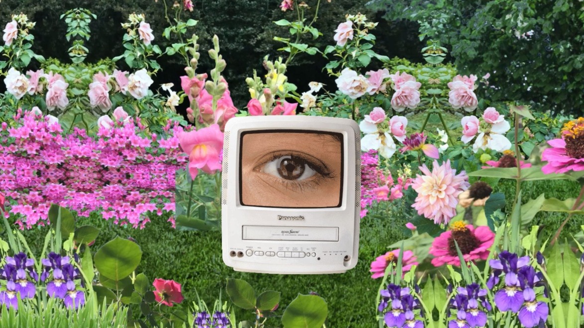 Surreal image of an eye on a vintage TV in a vibrant flower garden scene.