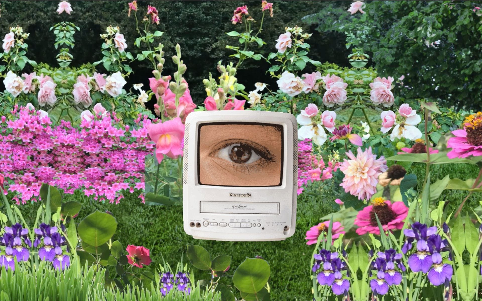Surreal image of an eye on a vintage TV in a vibrant flower garden scene.