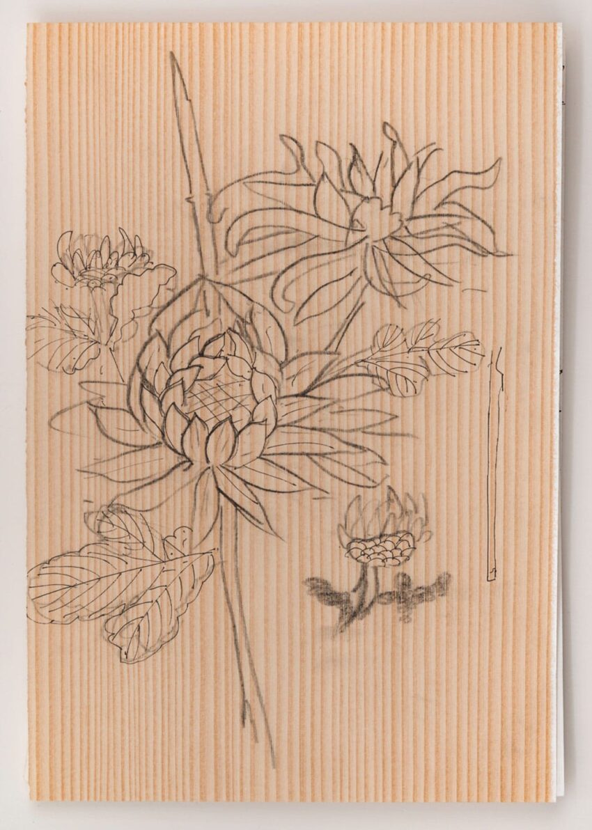 Pencil sketch of blooming flowers with leaves on a textured wooden board background.