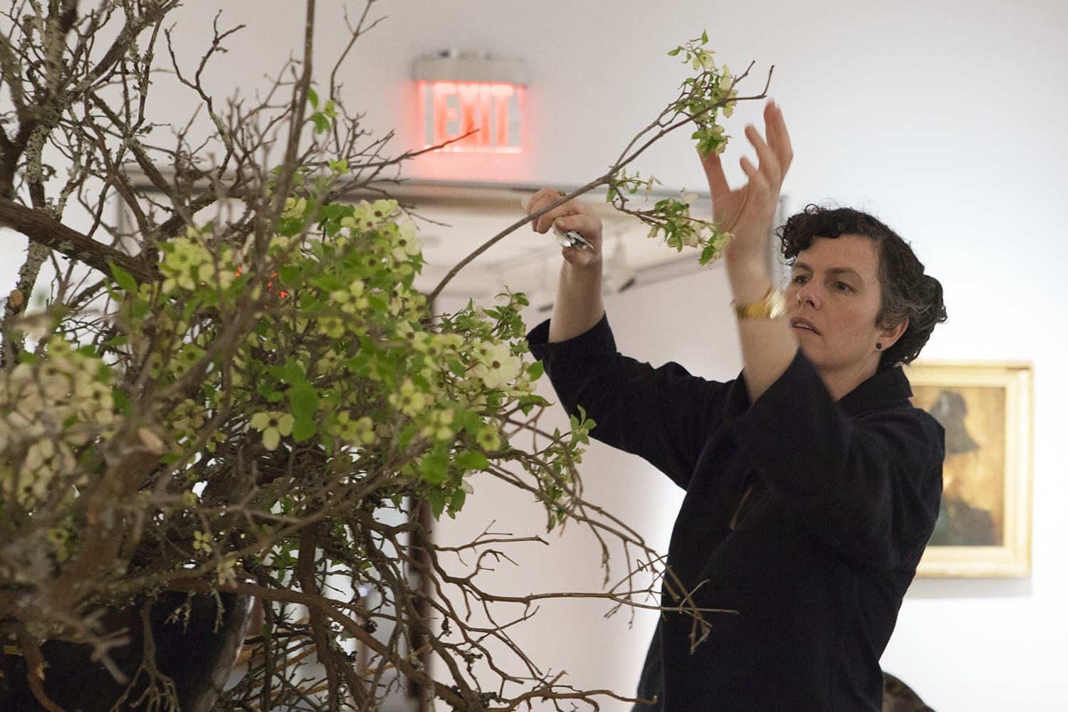 Person arranging a large floral display with branches and green leaves in a well-lit room.
