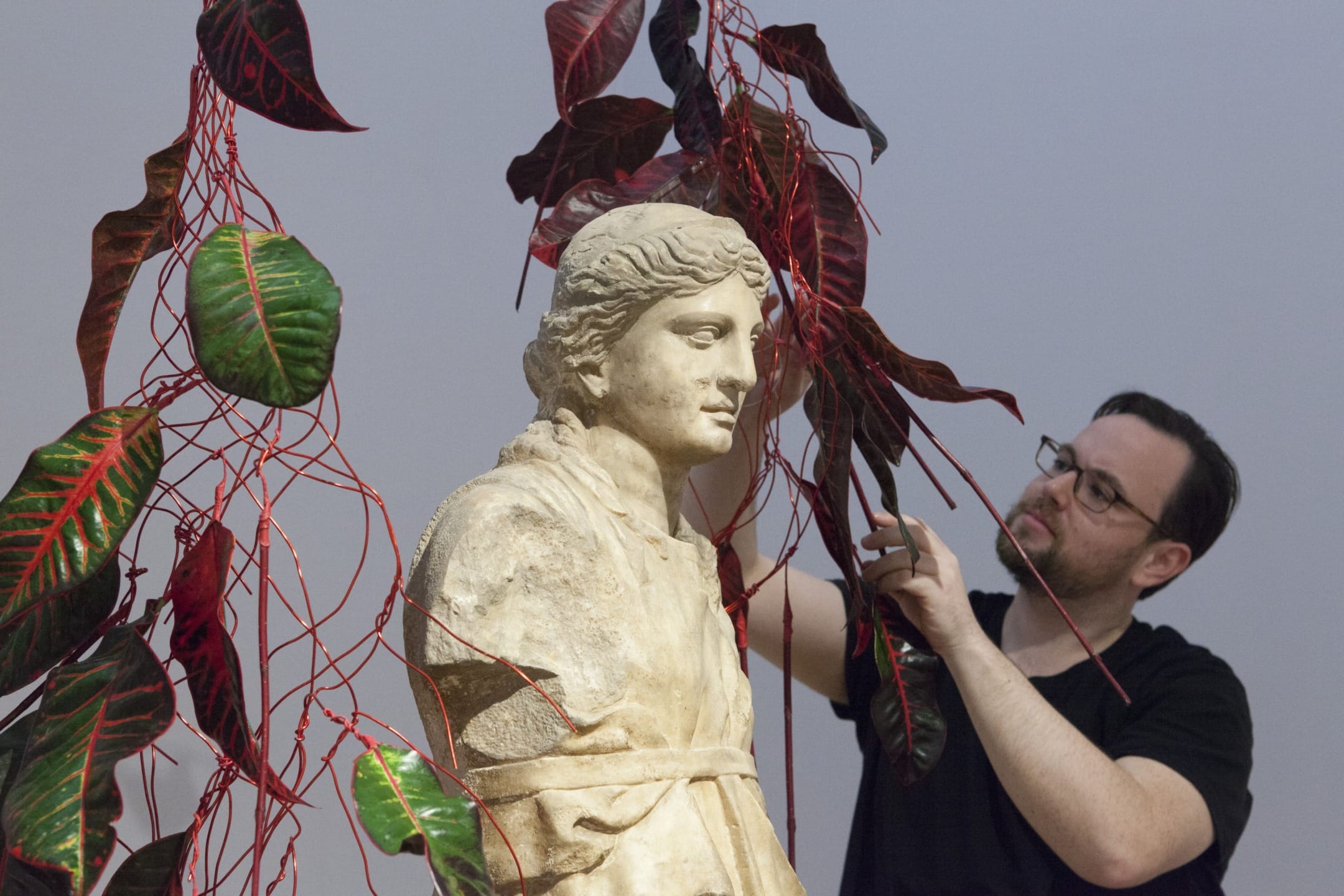 Man adjusting plants around a classical statue in an art exhibition setup.
