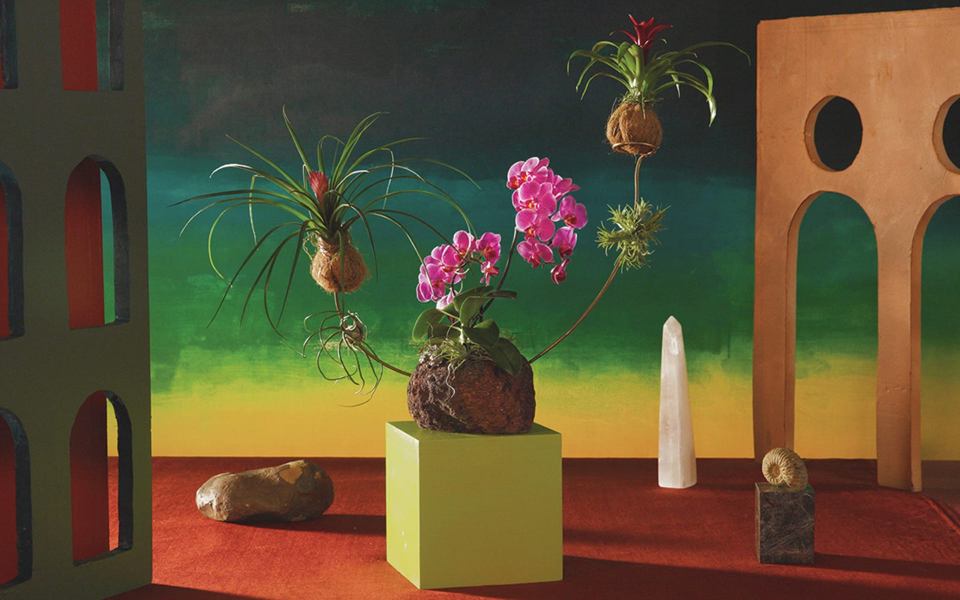 Orchids and air plants on display with colorful background, geometric structures, and natural stones in an artful arrangement.