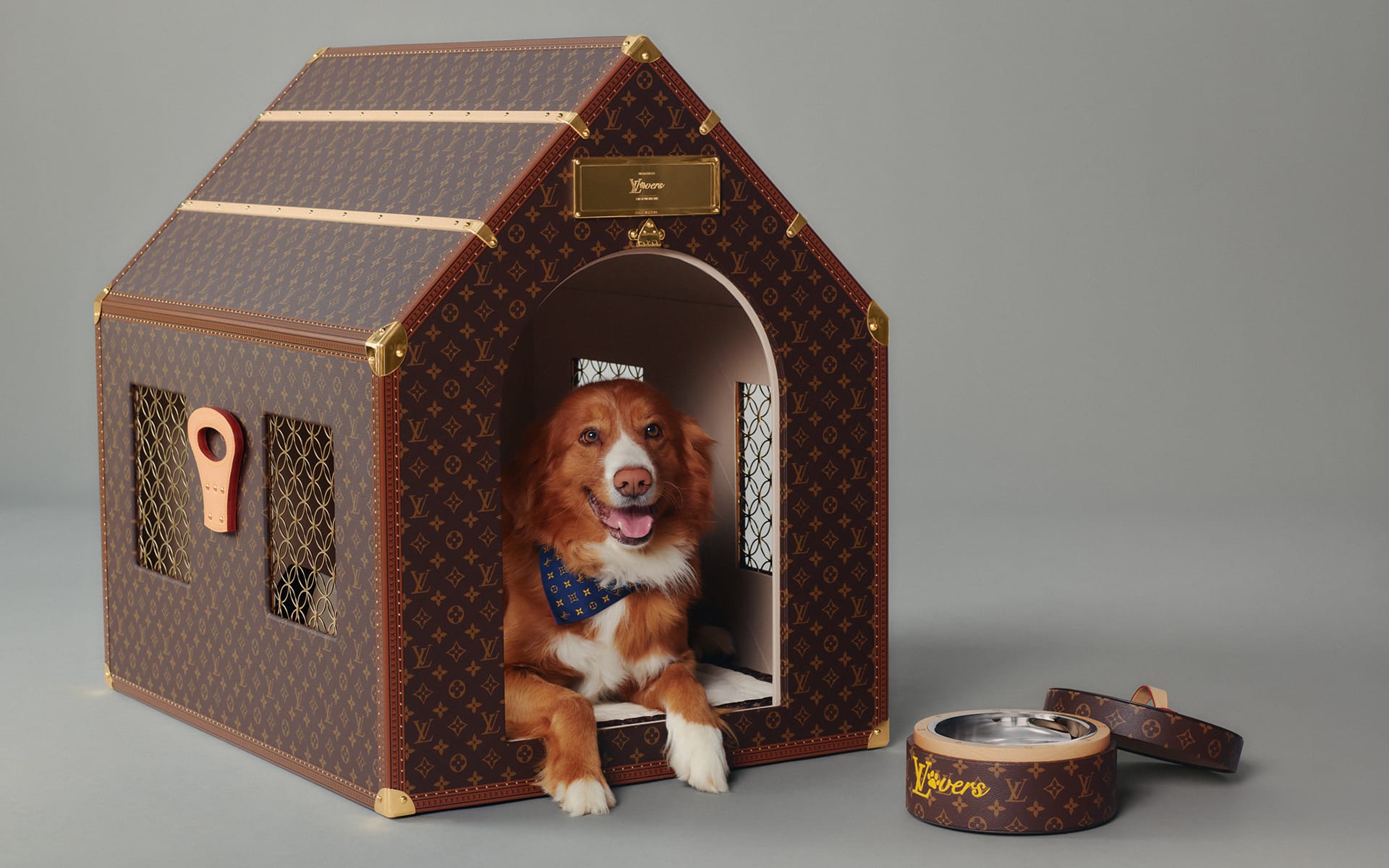 Louis Vuitton Dog Lvers Collection.