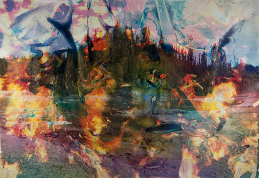 Abstract artwork blending vivid colors with hints of a forest background, creating a dynamic and textured visual scene.