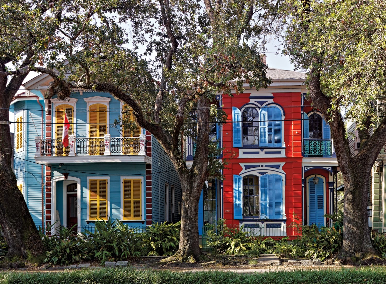 Colorful historic houses with ornate details and large trees in front, showcasing vibrant architecture and lush greenery.