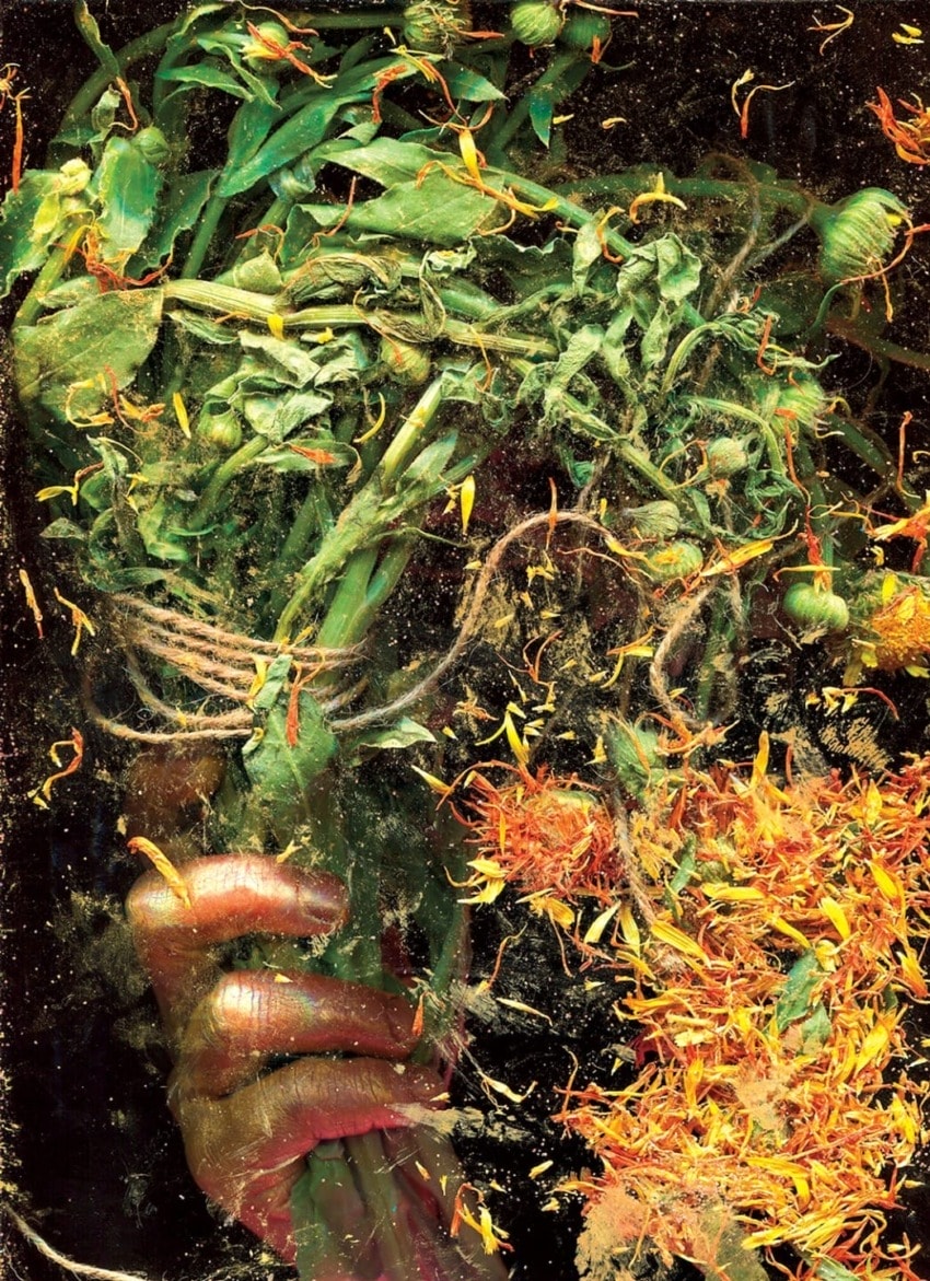 Hand holding a bouquet of green plants and vibrant orange flowers against a dark background, showcasing natural textures.