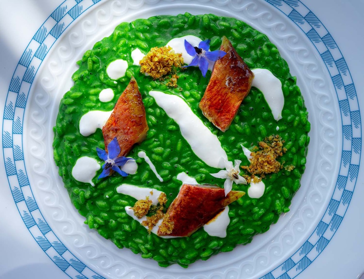 Gourmet green risotto with seared fish, white sauce drizzles, and edible flowers on a patterned white plate.