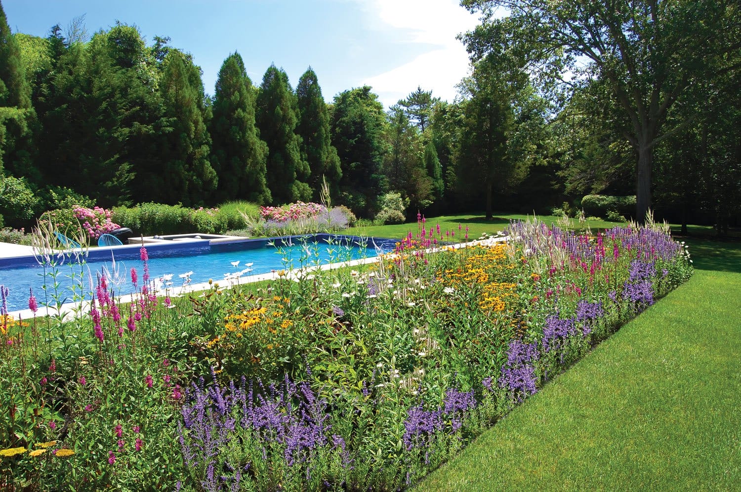 Beautiful garden with colorful flowers surrounding a blue swimming pool, large trees in the background on a sunny day.