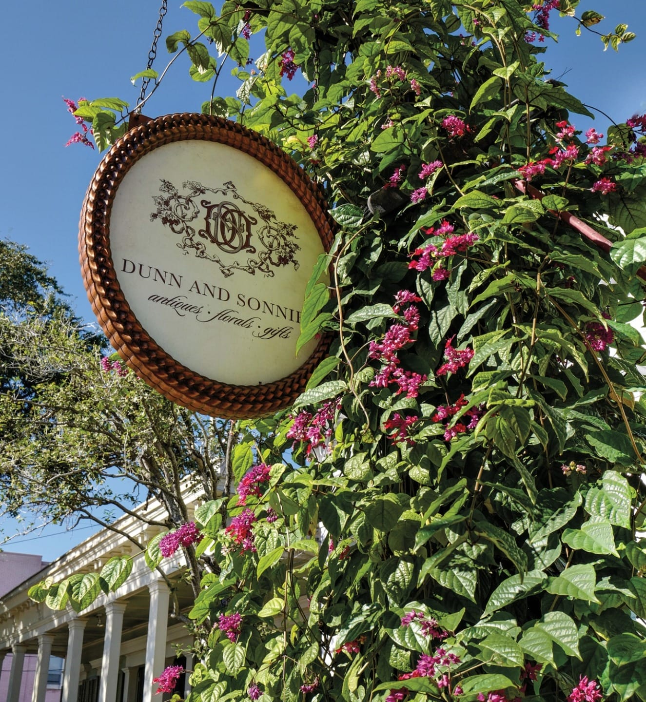 Shop sign for "Dunn and Sonn" surrounded by lush greenery and vibrant purple flowers on a sunny day.