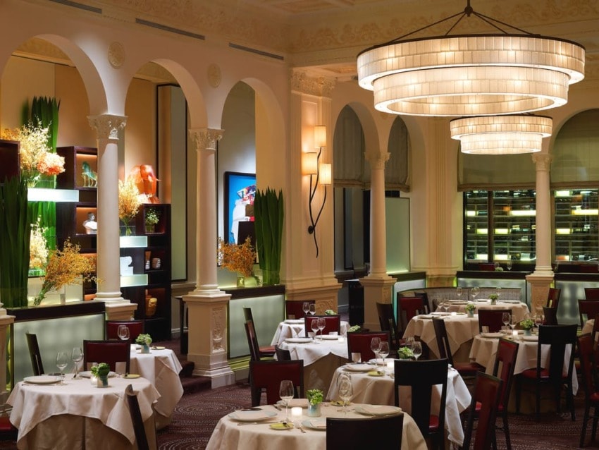 Elegant restaurant interior with circular chandeliers, white tablecloths, and decorative plants creating a cozy atmosphere.
