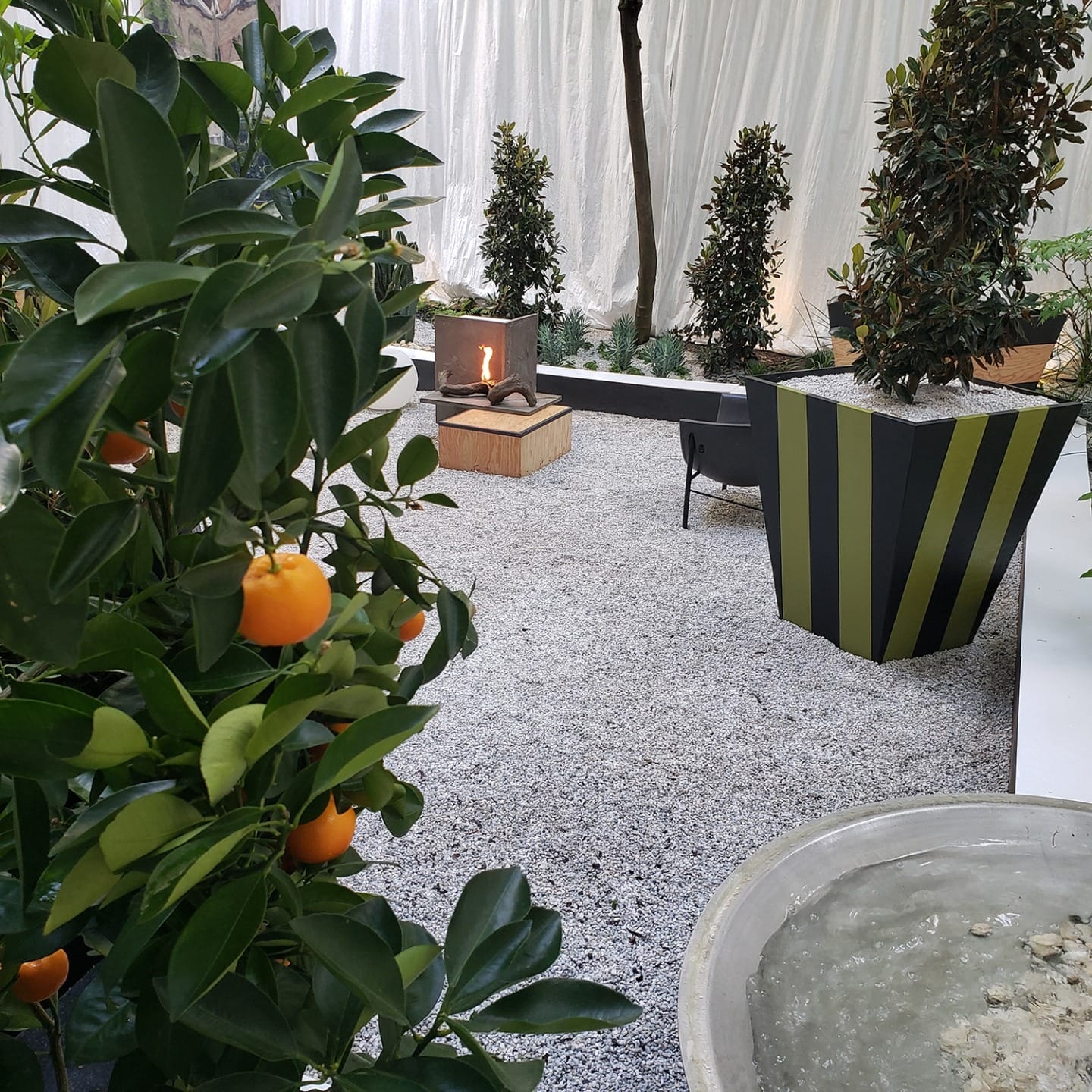 Orange tree in a modern outdoor garden with gravel and a central fire feature surrounded by potted plants.