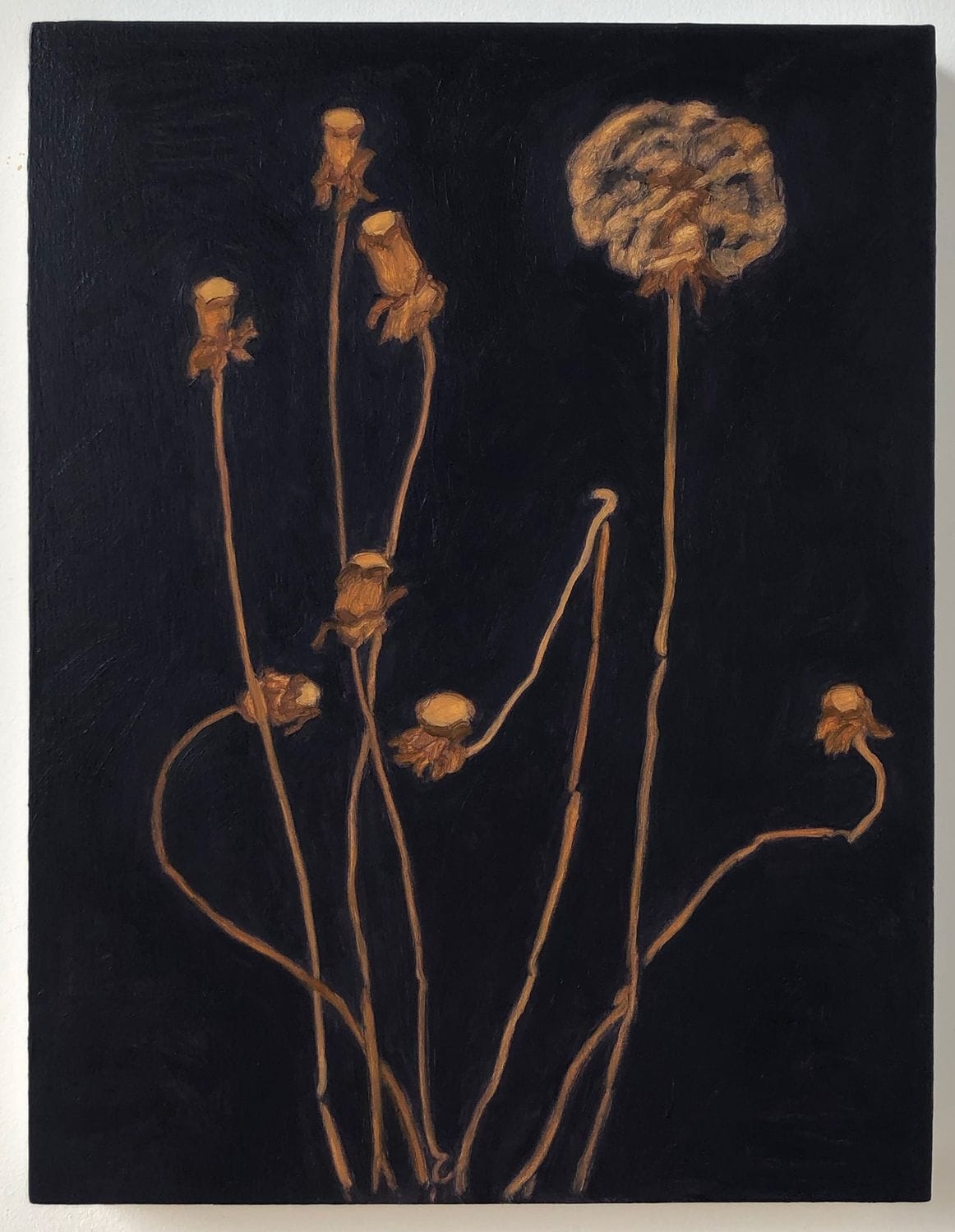 Painting of delicate faded flowers with long stems on a dark background, showcasing contrasting textures and colors.