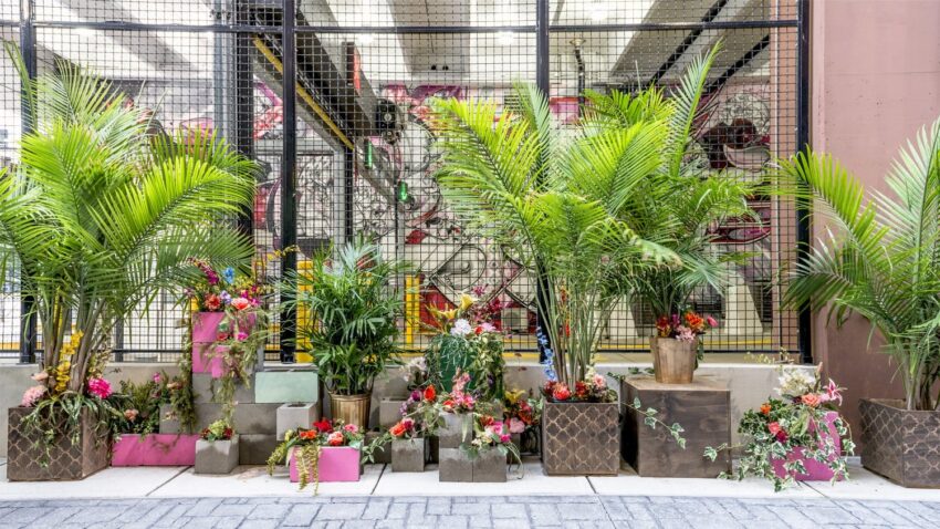 Colorful urban garden with various potted plants and flowers arranged against a wire fence in a city setting.
