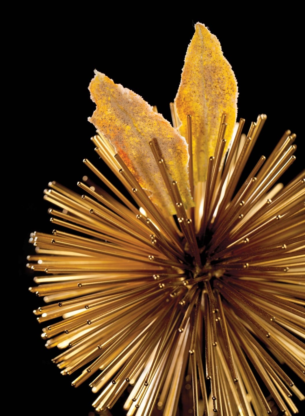 Golden abstract sculpture with spikes and textured elements on a black background.