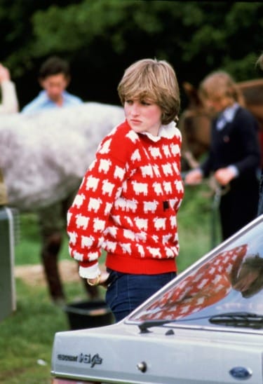 Person wearing a red sweater with white sheep pattern, standing outdoors with people and a horse in the background.