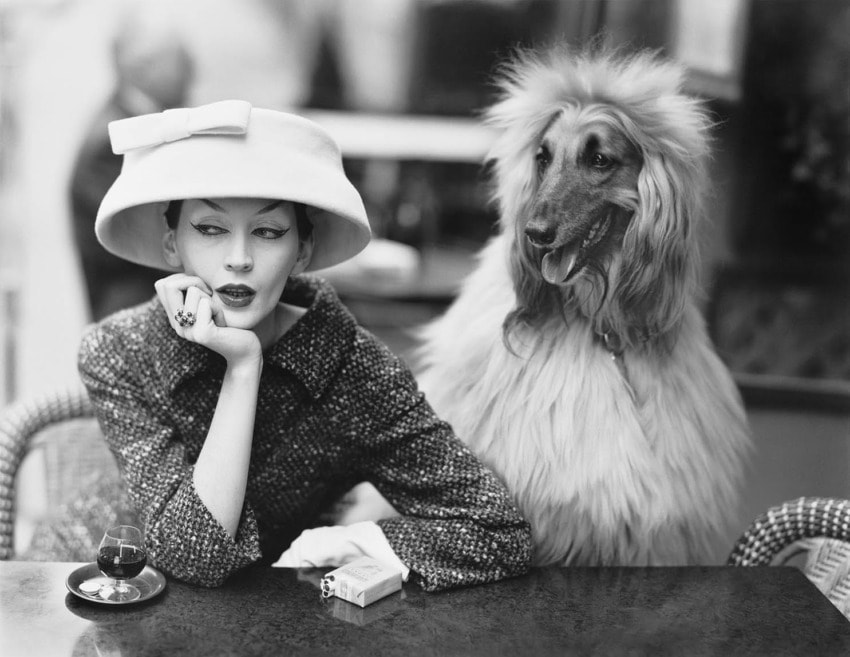 Woman in a stylish hat sitting at a table with an Afghan Hound beside her, both captured in a vintage black and white setting.