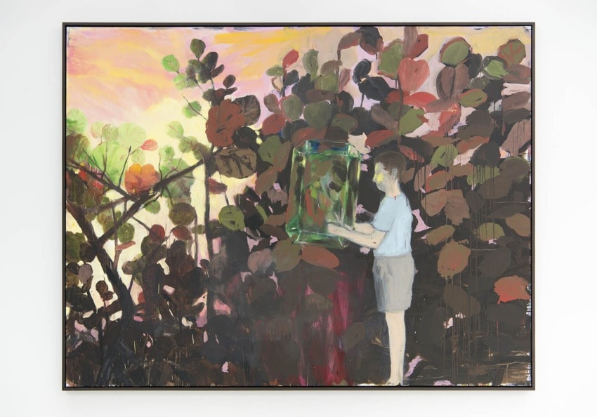 Person standing in front of large leafy plants holding a transparent box, with a colorful sky in the background.