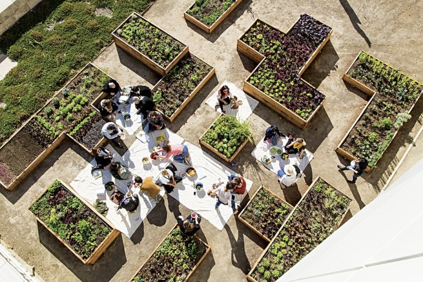 Aerial view of a group enjoying a meal surrounded by raised garden beds filled with various plants and vegetables.