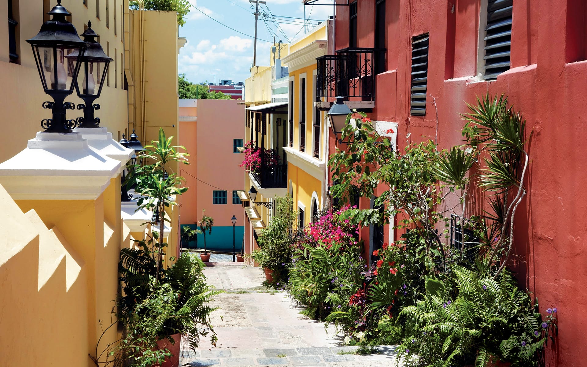 Colorful narrow street with vibrant buildings, lush greenery, and bright flowers on a sunny day.