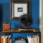 Bookshelf with decorative items, including a spiky black sculpture, framed photo, and a collection of books against blue wallpaper.