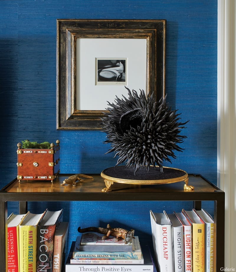 Bookshelf with decorative items, including a spiky black sculpture, framed photo, and a collection of books against blue wallpaper.