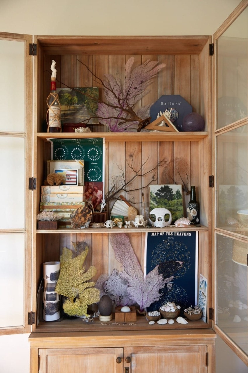 Wooden cabinet with open glass doors displaying books, seashells, coral, and various decorative items on three shelves.