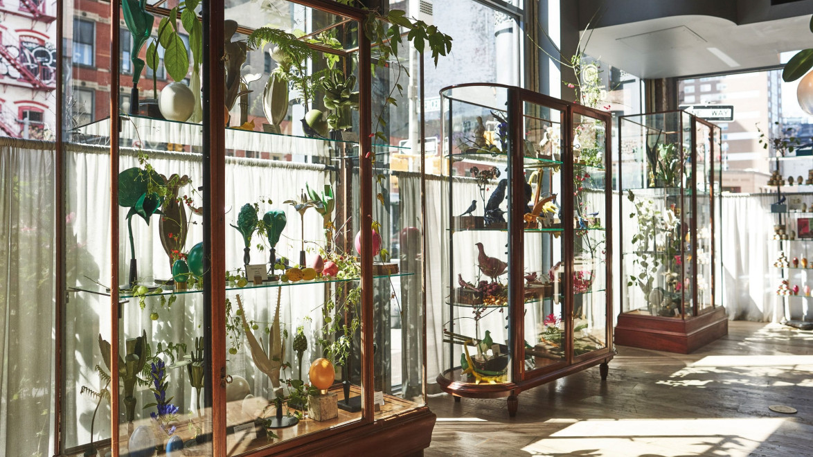 Sunlit room with elegant glass display cabinets showcasing colorful glass sculptures and potted plants near large windows.