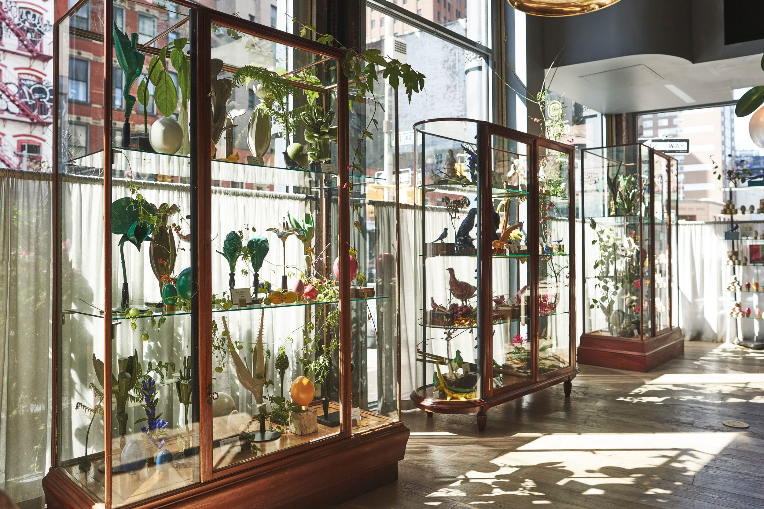 Sunlit room with elegant glass display cabinets showcasing colorful glass sculptures and potted plants near large windows.